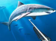 PLay Hunting underwater spearfishing now!