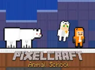 PLay PixelCraft Animal School now!